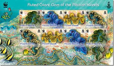 Fluted Giant Clam mini sheet
