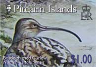Bristle-thighed Curlew $1.00