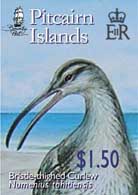 Bristle-thighed Curlew $1.50