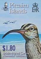Bristle-thighed Curlew $1.80