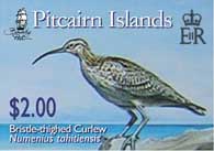 Bristle-thighed Curlew $2.00