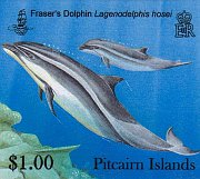 dolphins $1.00