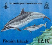 dolphins $2.10