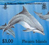 dolphins $3.00