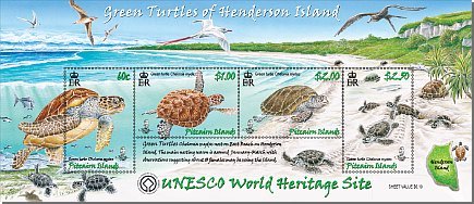 Green Turtles of Henderson